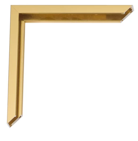 Cadre en aluminium Javier sur mesure or clair, dos brossé | verre standard (2 mm)
