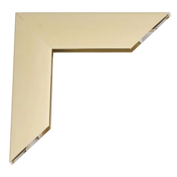 Aluminum kader Mega 42x59,4 cm (A2) | goud, glanzend | normaal glas (2 mm)