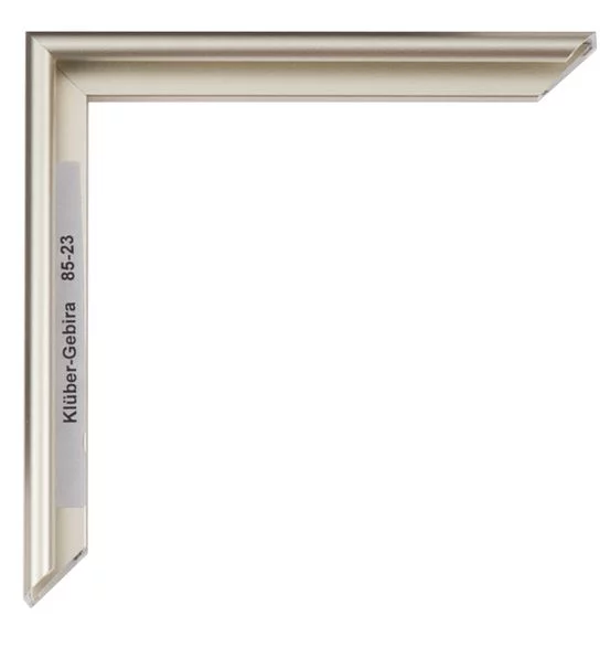 Cadre en aluminium Miguel 20x30 cm | champagne mat, dos brossé | verre standard (2 mm)