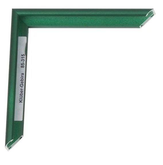 Cadre en aluminium Miguel 20x30 cm | vert émeraude Florentin | verre standard (2 mm)