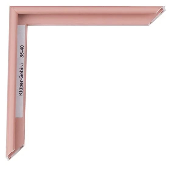Cadre en aluminium Miguel 20x30 cm | corail rose | verre standard (2 mm)