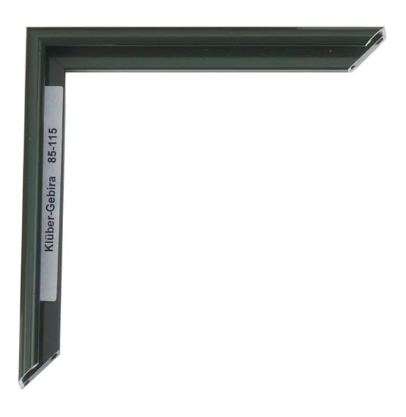 Cadre en aluminium Miguel 20x30 cm | vert sapin | verre standard (2 mm)
