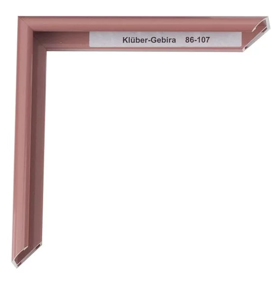 Alu Bilderrahmen Enzo Maßanfertigung Rivierarosa | Normalglas (2 mm)