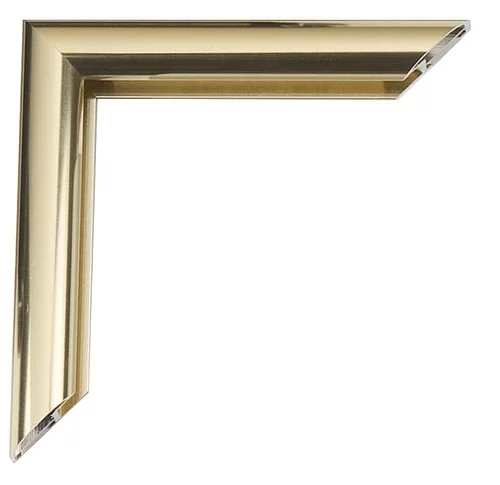 Alu Bilderrahmen Joel 30x45 cm | Gold hell glänzend, Rücken gebürstet | Normalglas (2 mm)