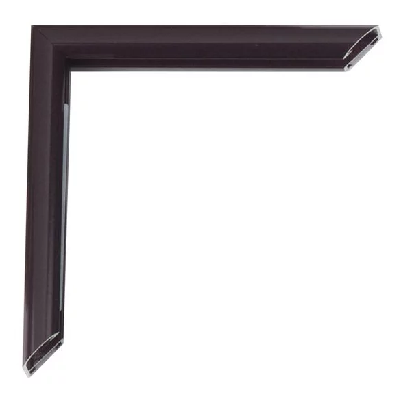 Cornice in alluminio Pedro su misura tartaruga | Vetro standard (2 mm)