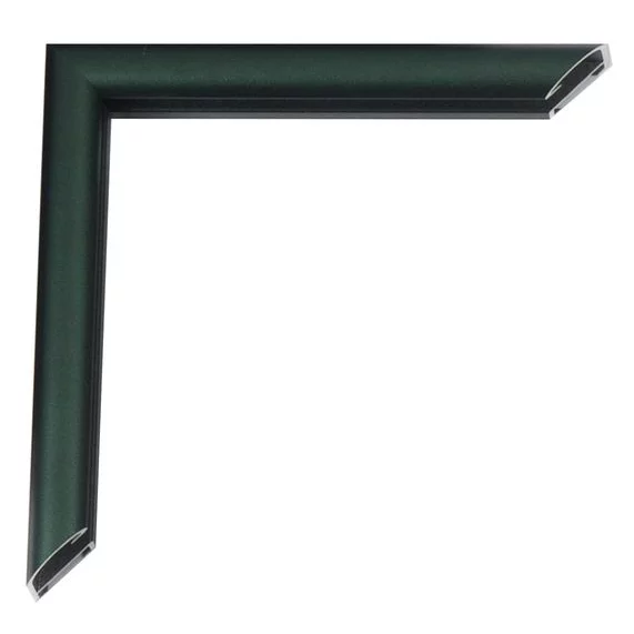 Alu-Bilderrahmen Pedro 20x30 cm | Florentiner Grün | Normalglas (2 mm)