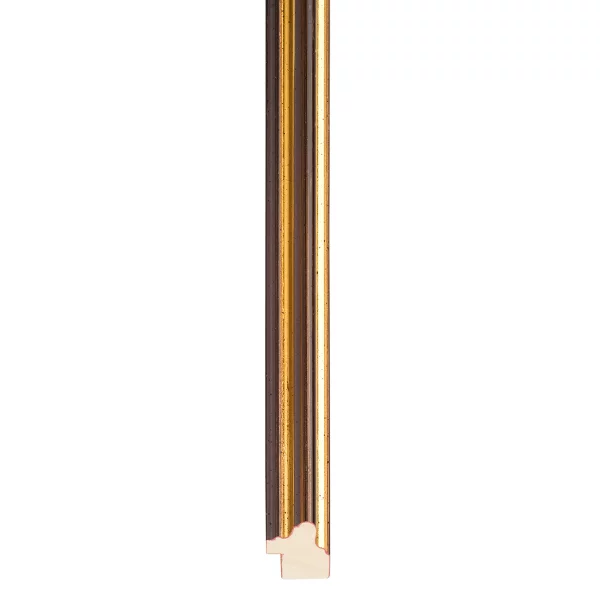 Houten lijst Ferrol 30x45 cm | bruin-goud | normaal glas (2 mm)