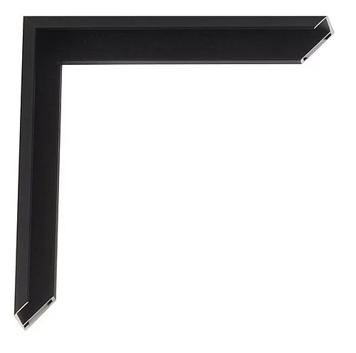 Cadre en aluminium Samuel sur mesure noir mat, dos brossé | verre standard (2 mm)