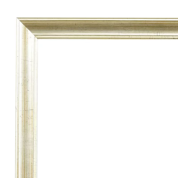 Spiegelrahmen Périgueux 40x60 cm | antiksilber | Spiegel (3 mm)