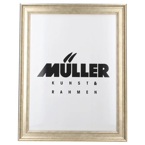 Cadre en bois Brême sur mesure or blanc | verre standard (2 mm)