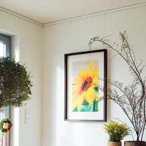 Galerieschiene Economy OHNE Zubehör 