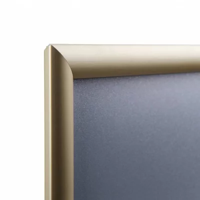 Kliklijst Color, 25 mm 29,7x42 cm (A3) | goud, mat | kunstglas, gematteerd (1 mm)