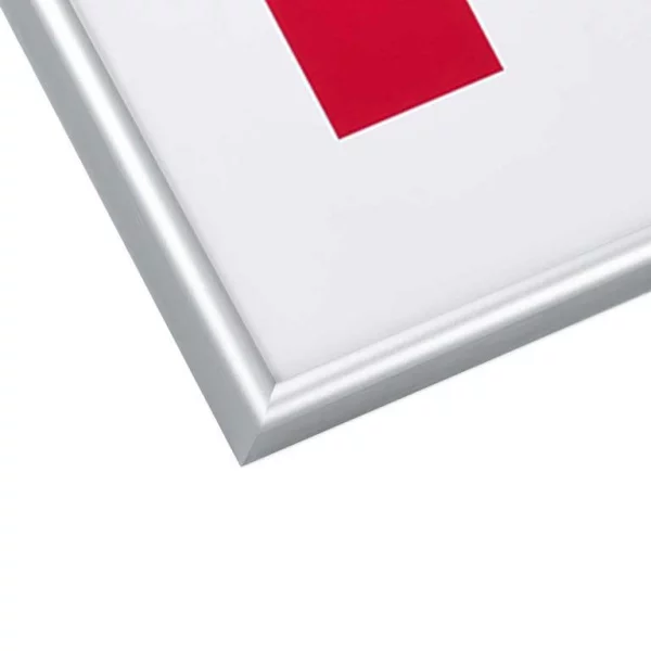 Alu-Bilderrahmen Profil S1 50x50 cm | silber matt | Normalglas (2 mm)