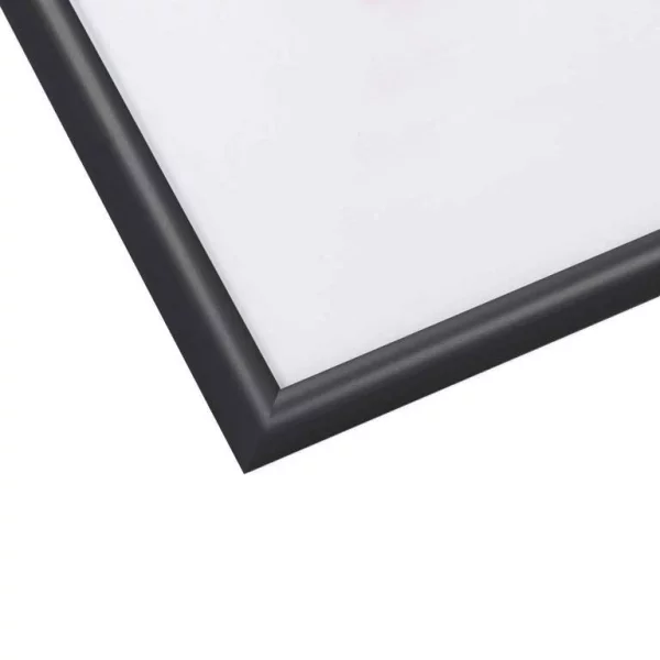 Alu Bilderrahmen Econ rund 30x45 cm | schwarz matt | Antireflexglas mattiert (2 mm)