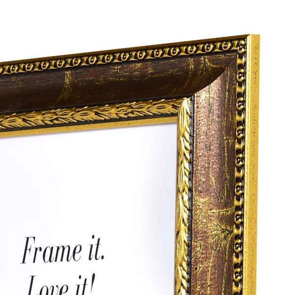 Barockrahmen Verdun 25x35 cm | Braun mit goldener Zierleiste | Normalglas (2 mm)