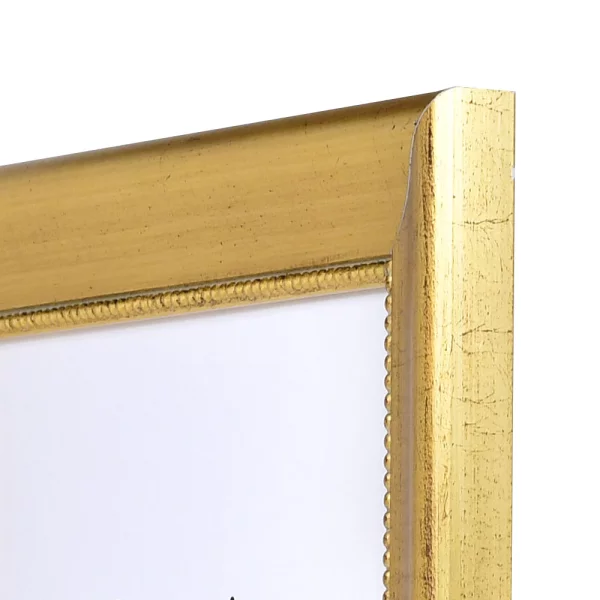 Barock Bilderrahmen Boulay breit 59,4x84,1 cm (A1) | gold | Normalglas (2 mm)