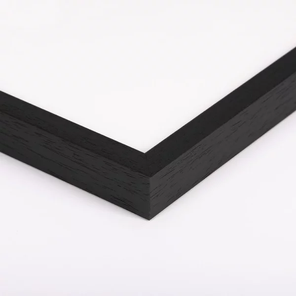 Cadre en bois Bavière 20x30 cm | noir | verre standard (2 mm)