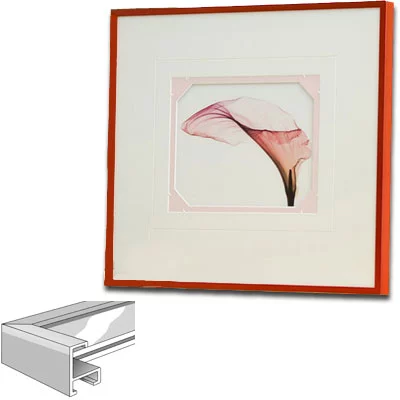 Cadre en aluminium profil 221 21x29,7 cm (A4) | rouge tornade | verre standard (2 mm)