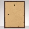 morepic-6