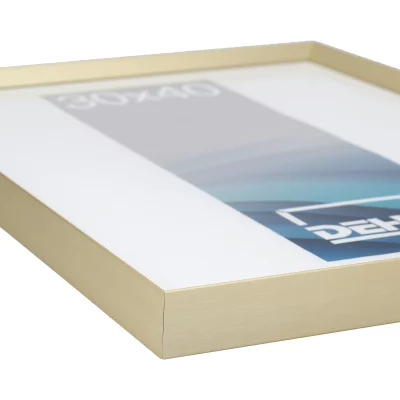 Aluminiumsbilderamme Wega 42x59,4 cm (A2) | Champagne matt | Normalglass (2 mm)
