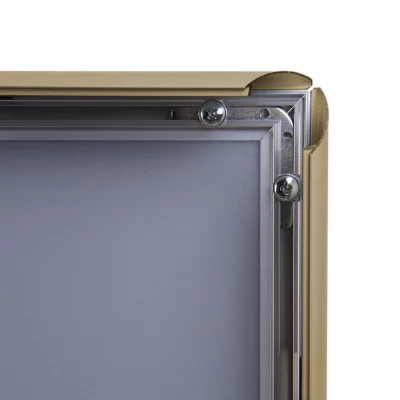 Kliklijst Color, 25 mm 29,7x42 cm (A3) | goud, mat | kunstglas, gematteerd (1 mm)