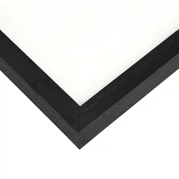 Cadre amovible en bois série 209 30x40 cm | frêne noir | verre standard (2 mm)