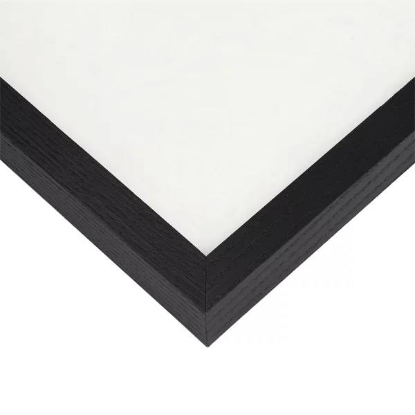 Cadre amovible en bois série 210 30x40 cm | frêne noir | verre standard (2 mm)