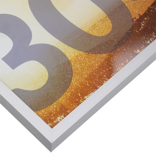 Alu Bilderrahmen BARTH - Serie 916 LIGHT 21x29,7 cm (A4) | Silber matt | Normalglas (2 mm)