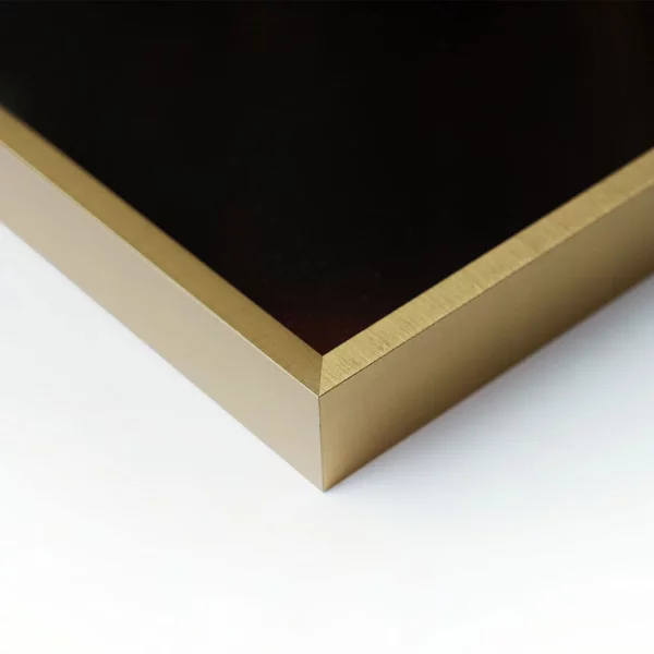 Alu-Bilderrahmen Profil Alpha nach Maß Brushed Gold | Normalglas (2 mm)