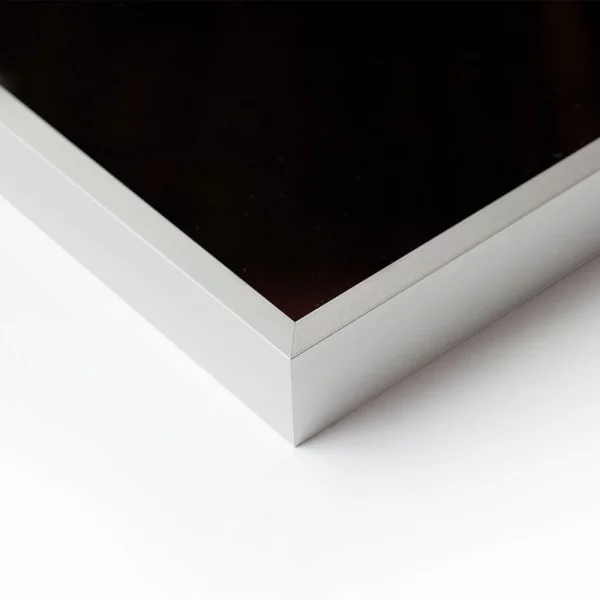 Alu-Bilderrahmen Profil Alpha nach Maß Silber matt | Normalglas (2 mm)