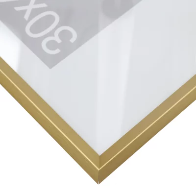 Aluminiumsbilderamme Wega 42x59,4 cm (A2) | Gull matt | Normalglass (2 mm)