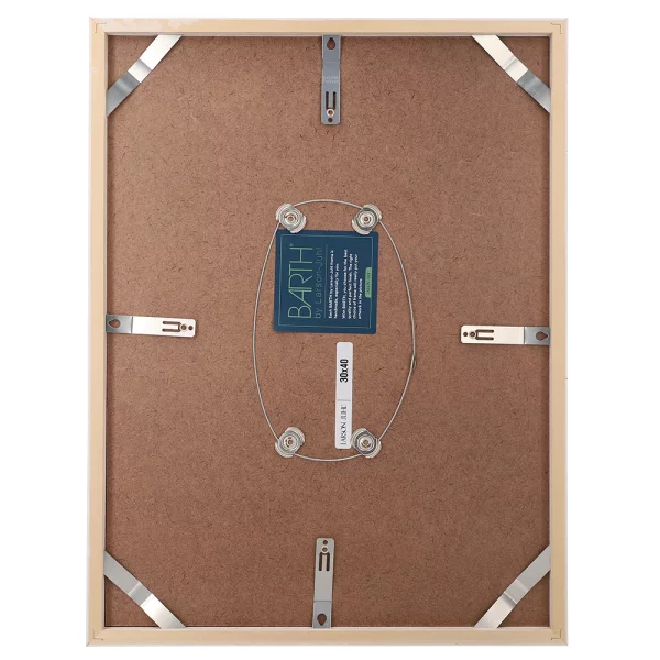 Cadre amovible en bois série 209 30x40 cm | peuplier blanc coloré | verre standard (2 mm)