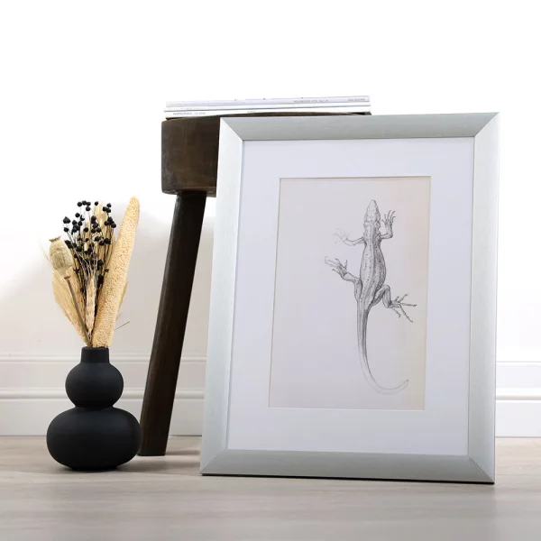 Cadre en aluminium Aluline avec passe-partout 15x20 cm (10x15 cm) | argent | verre standard (2 mm)