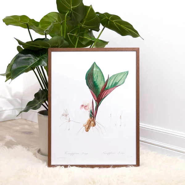 Cadre amovible en aluminium série 1125 13x18 cm | blanc | verre standard (2 mm)