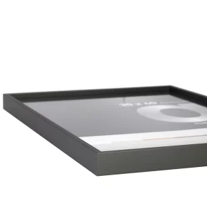 Alurahmen Alpha 84,1x118,9 cm (A0) | Platin | Normalglas (2 mm)