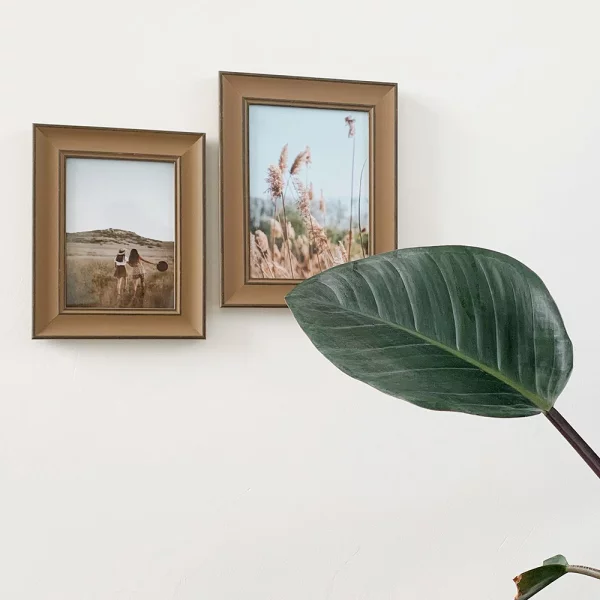 Cadre photo en bois Lucie avec bords de couleur contrastée 10x15 cm | brun | verre standard (2 mm)