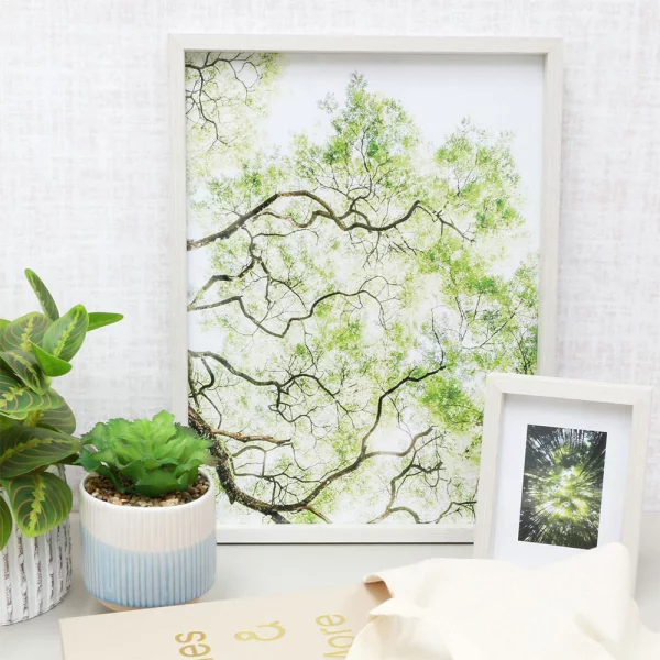 Cadre en bois (MDF) Elias 10x15 cm | blanc | verre standard (2 mm)