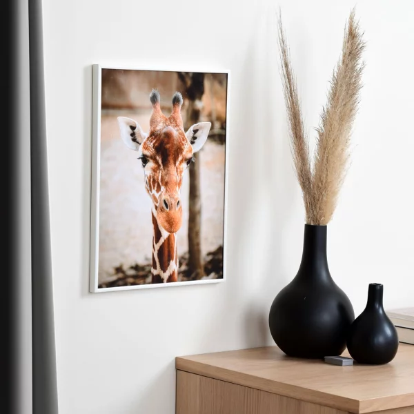 Cadre en plastique ART 70x100 cm | blanc | verre standard (2 mm)