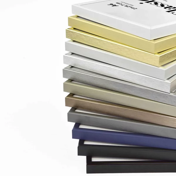 Cadre en aluminium Classic 59,4x84,1 cm (A1) | or mat | verre standard (2 mm)