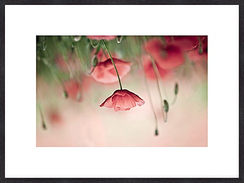 Houten lijst met afbeelding van Nielsen