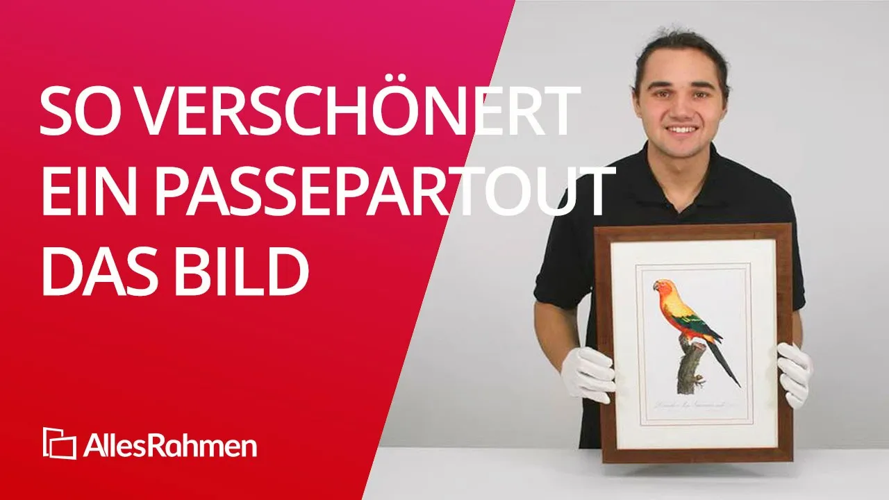So verschönert ein Passepartout das Bild