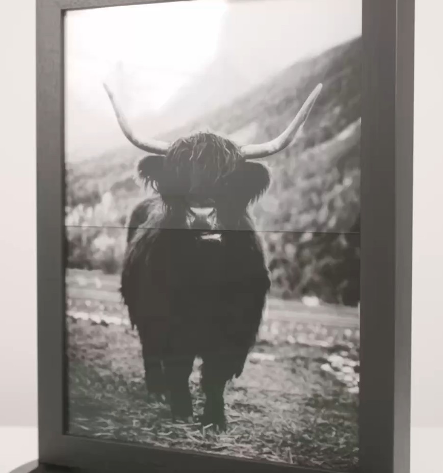 Vergleich Museumsglas und Normalglas