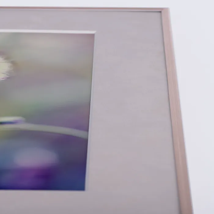 Das streichelzarte Samt-Passepartout passt zum Pusteblumenbild.