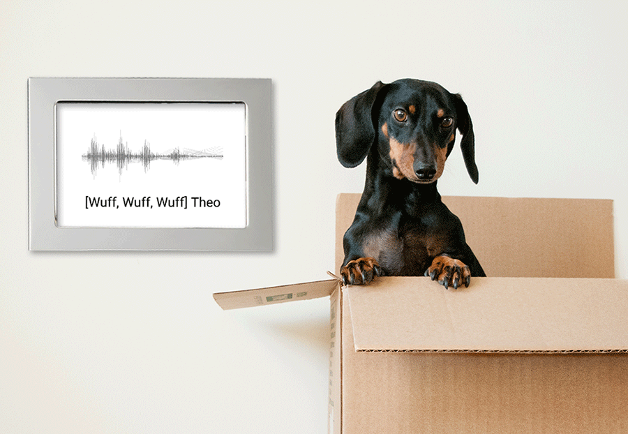 soundwave unser Hund